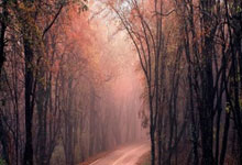 开云体育-旋风腿定乾坤！全国跆拳道争霸赛惊现王者之姿