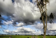 开云APP-全球篮球赛历大洗牌！FIBA延期风暴背后的商业暗战