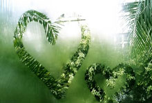 开云体育APP下载-阿尔艾因防守反击战术成亮点，挑战欧洲豪强