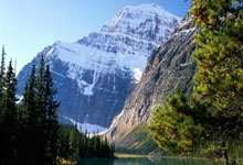 开云平台-铁骑踏破胜利门！蒙古维亚主场狂飙突进