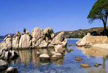 开云体育-旋风腿定乾坤！全国跆拳道争霸赛惊现王者之姿