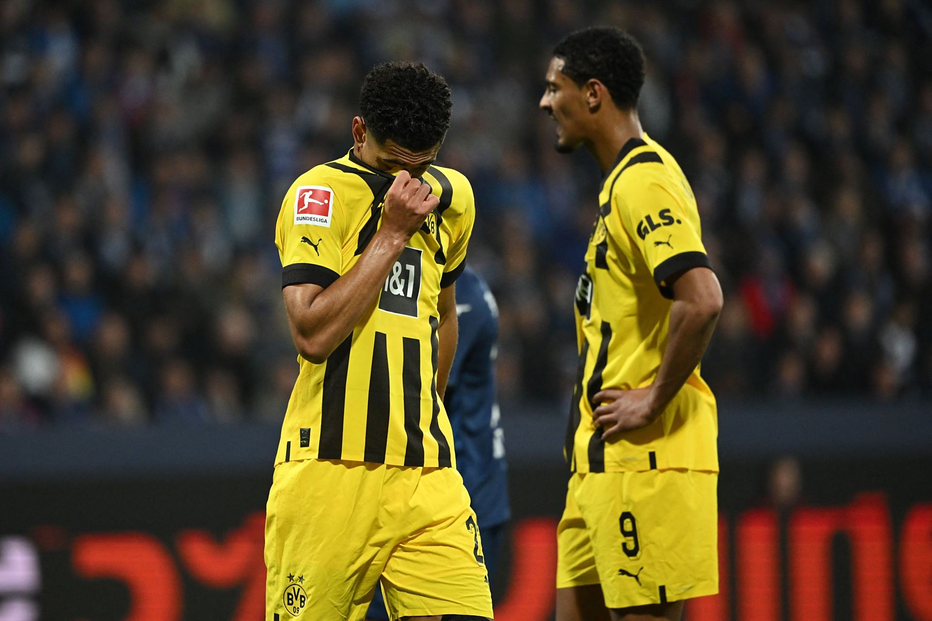 开云体育登录-波鸿客场奋起，取得重要胜利稳住局势