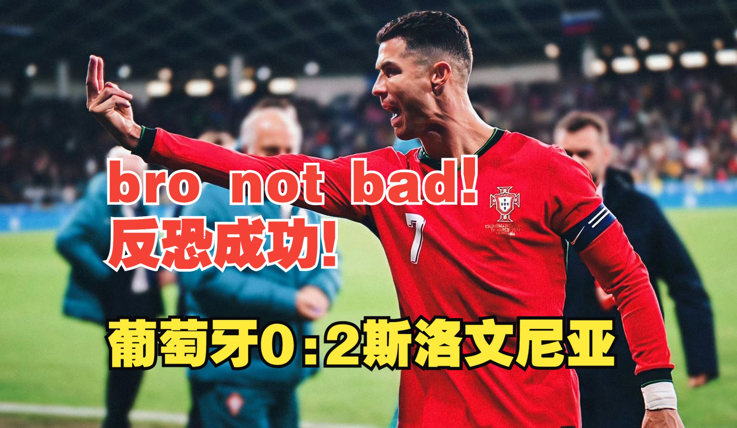 开云体育平台APP-斯洛文尼亚队惨败，丢失出线机会的简单介绍